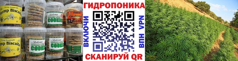Canna-Cookies конопля  Кохма 